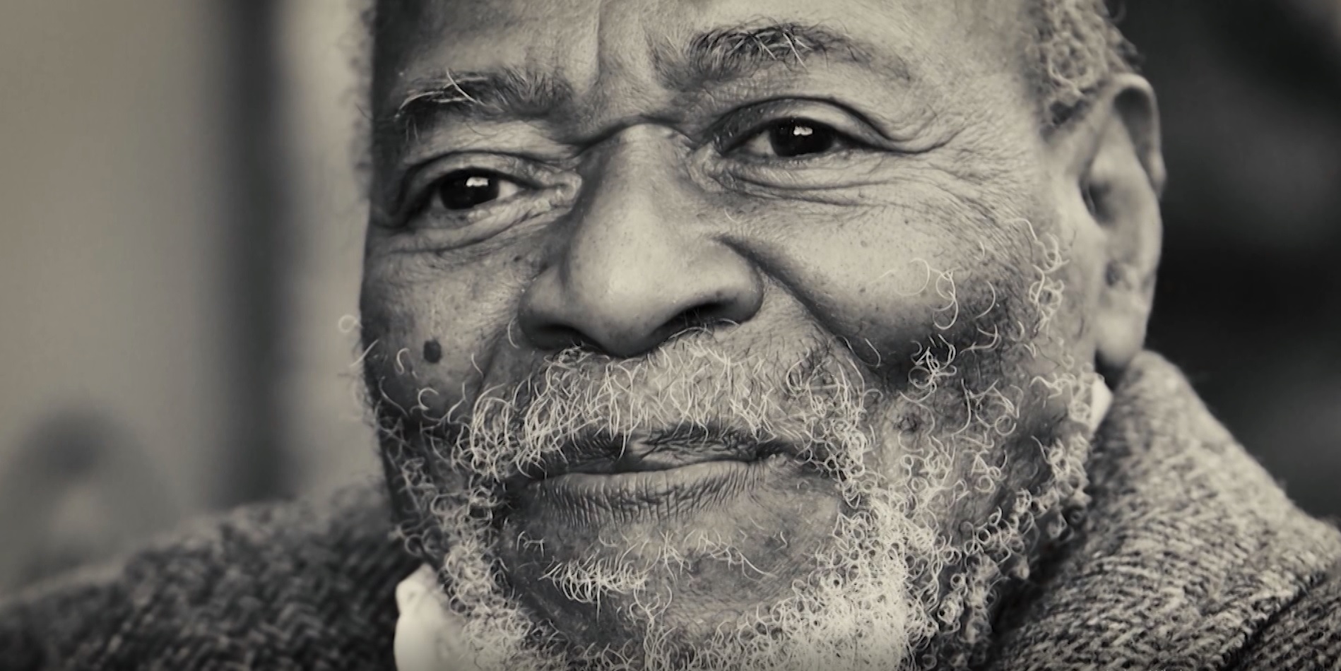 Descripción de la imagen