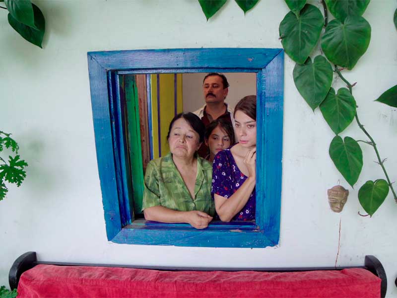 Descripción de la imagen