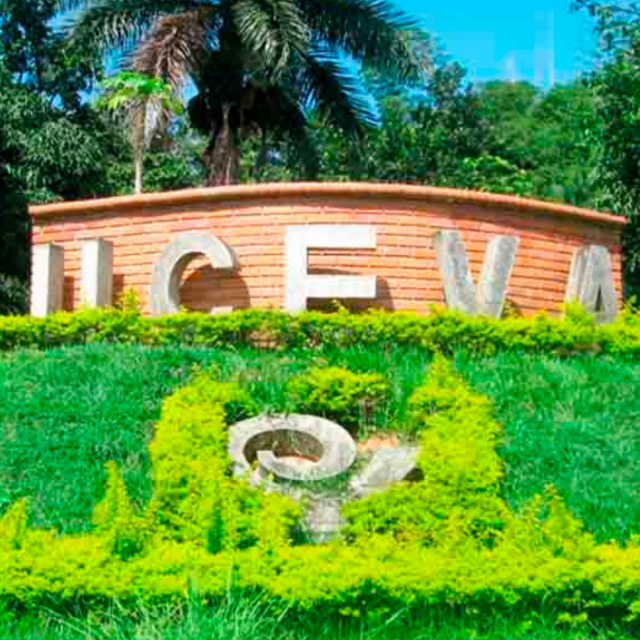 TP NOTICIAS A ESTA HORA