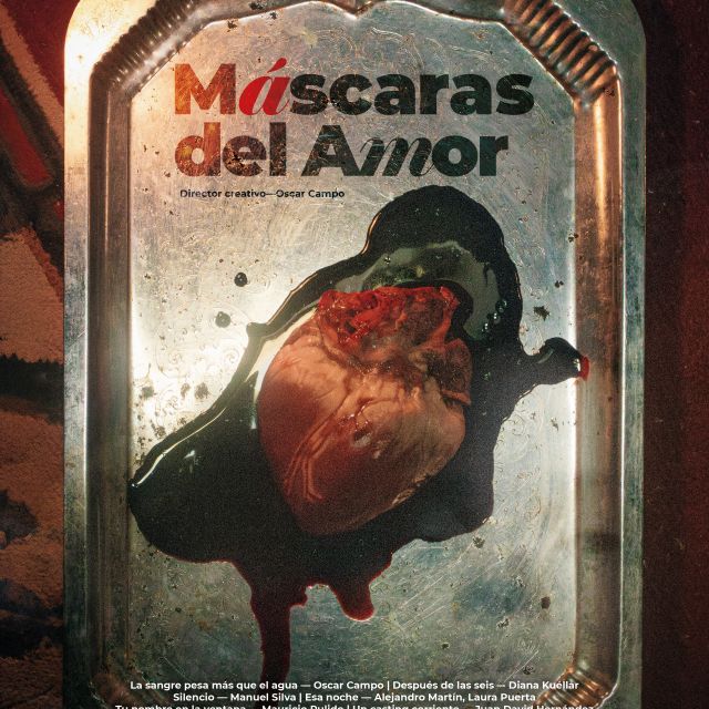 TP NOTICIAS A ESTA HORA