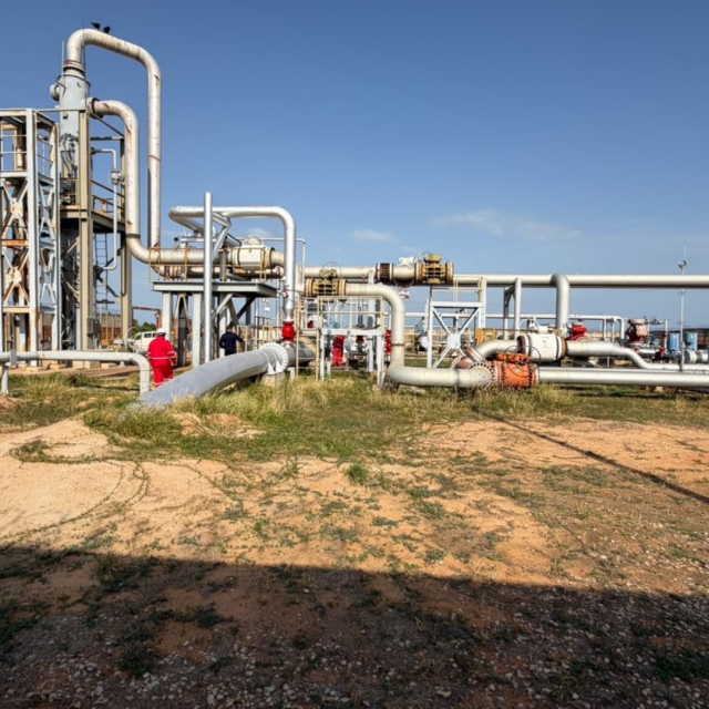 TP NOTICIAS A ESTA HORA