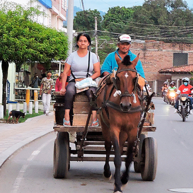 TP NOTICIAS A ESTA HORA