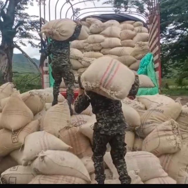 TP NOTICIAS A ESTA HORA