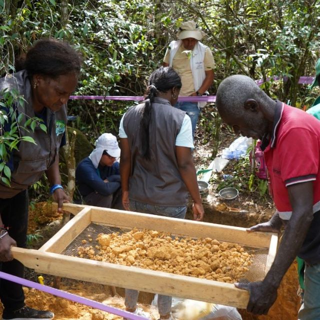 TP NOTICIAS A ESTA HORA