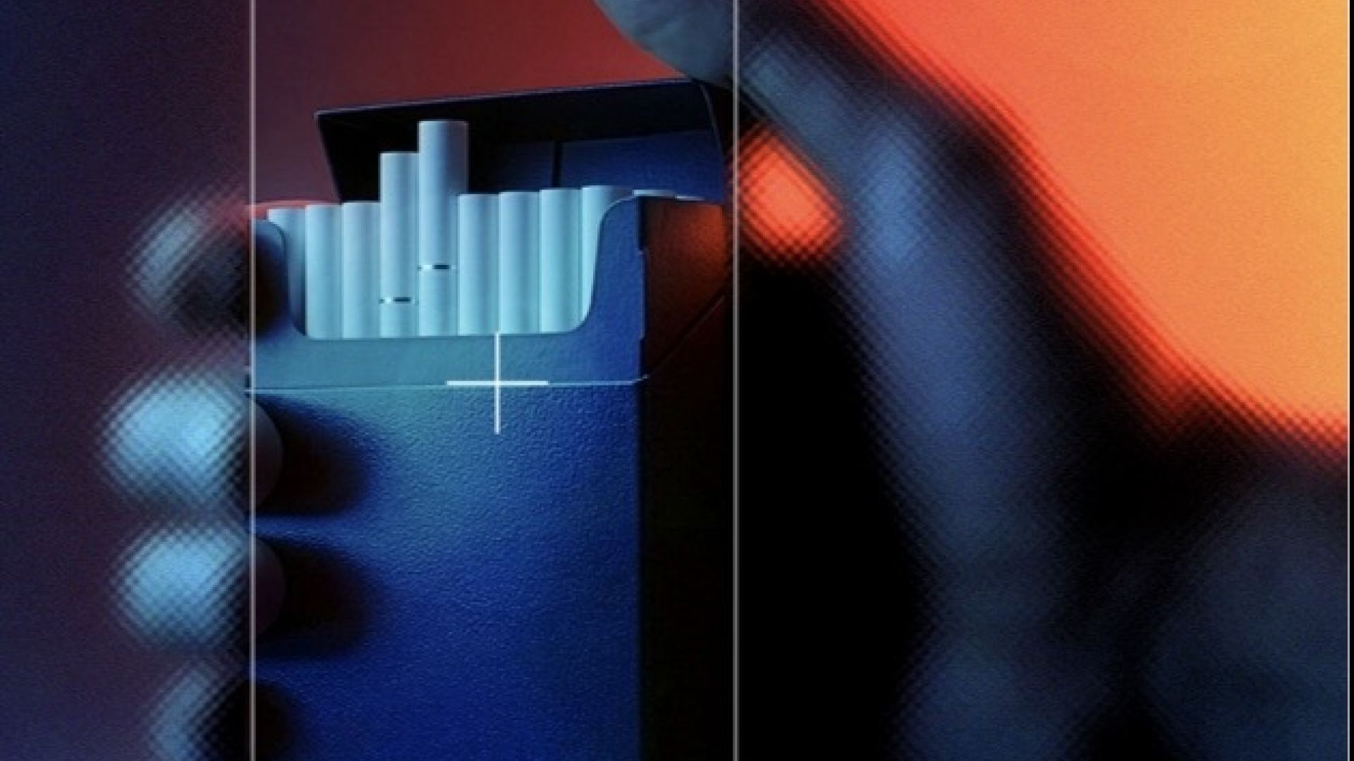 TP NOTICIAS A ESTA HORA