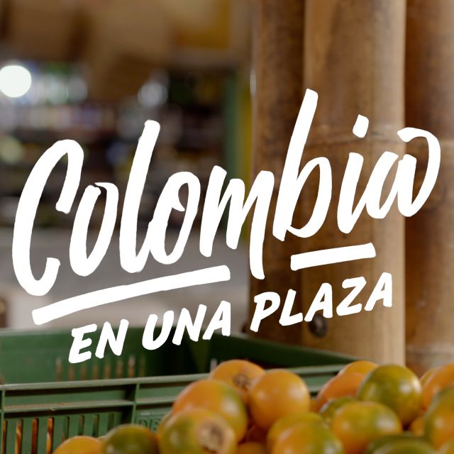 TP NOTICIAS A ESTA HORA