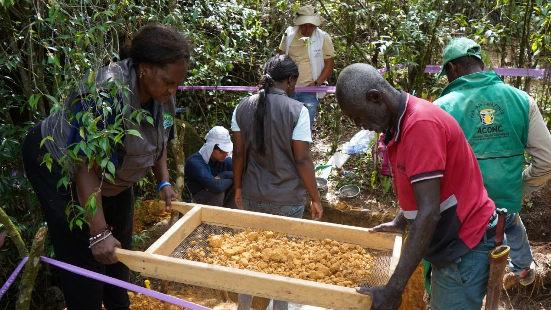 TP NOTICIAS A ESTA HORA