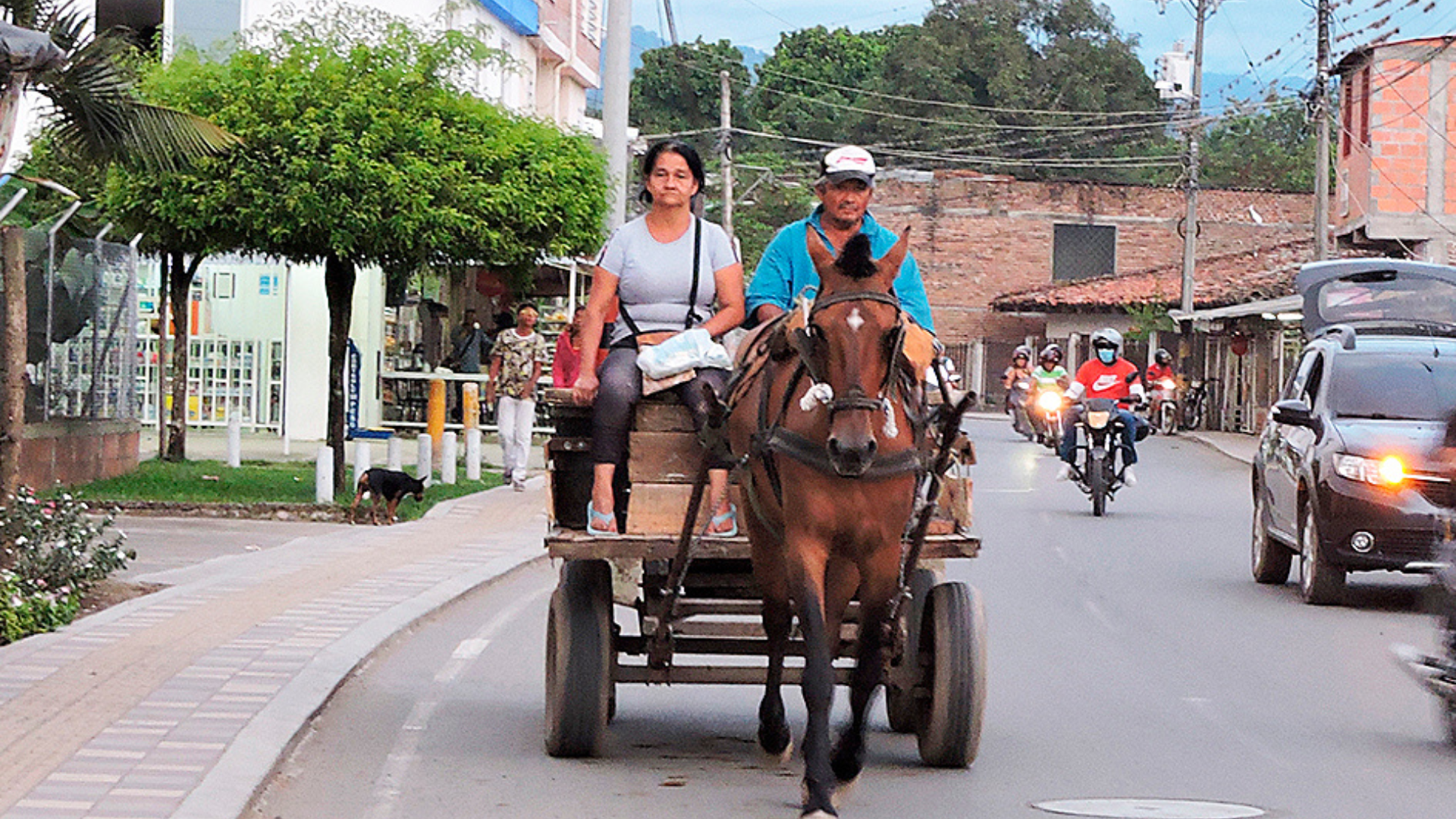 TP NOTICIAS A ESTA HORA