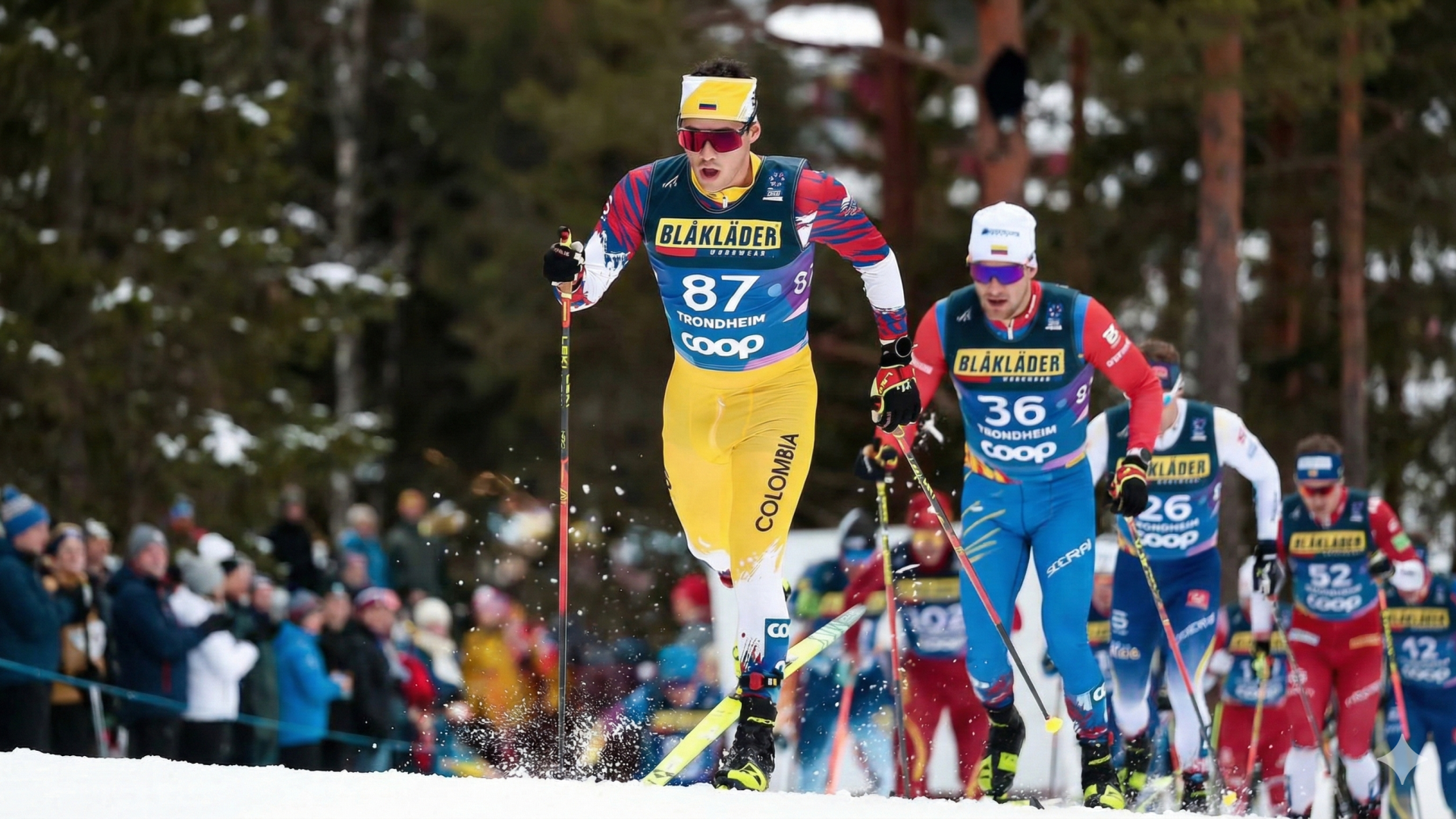 TP NOTICIAS A ESTA HORA