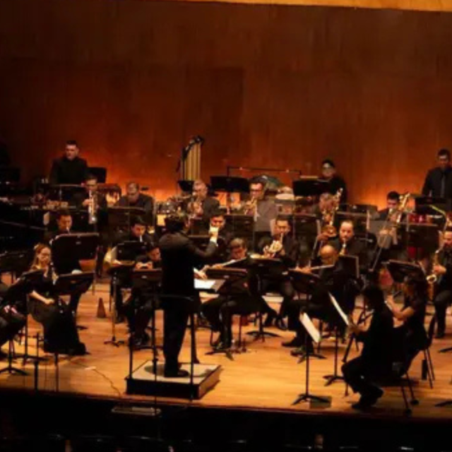 TP NOTICIAS A ESTA HORA