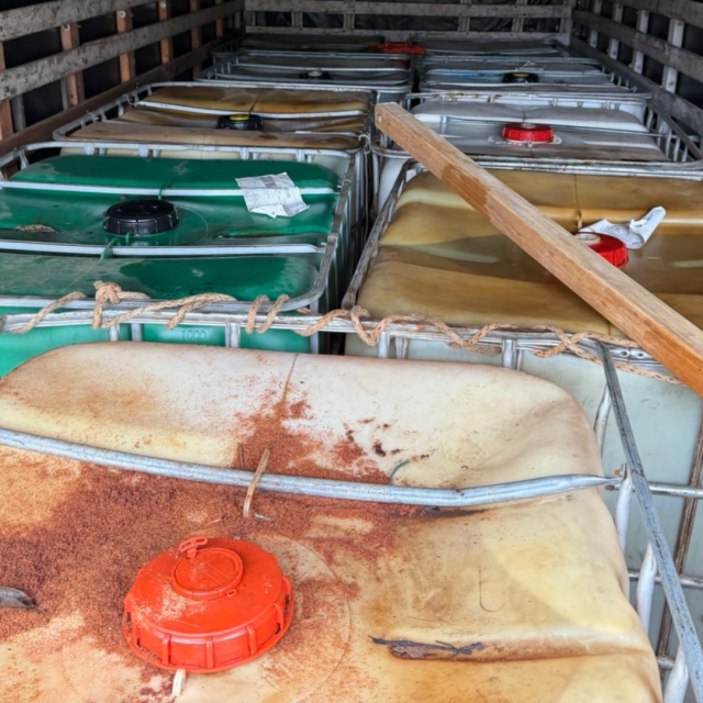 TP NOTICIAS A ESTA HORA