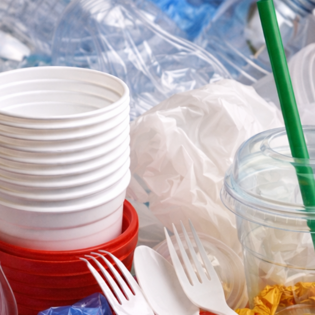 TP NOTICIAS A ESTA HORA